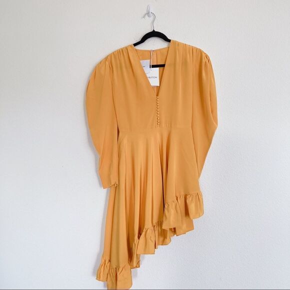 pushBUTTON Silk Dress  - Picture 6 of 12